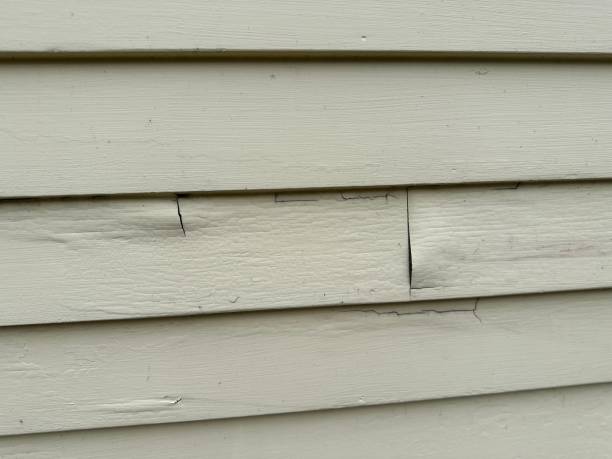 Best Property Management Cleanouts  in , NJ